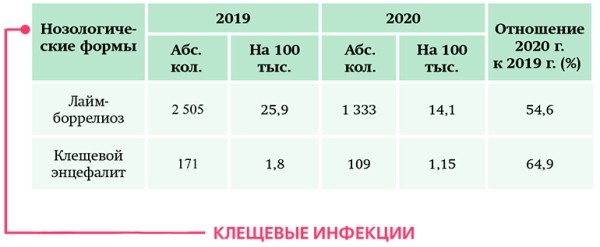 
			Инфекционная заболеваемость в условиях пандемии  COVID-19		