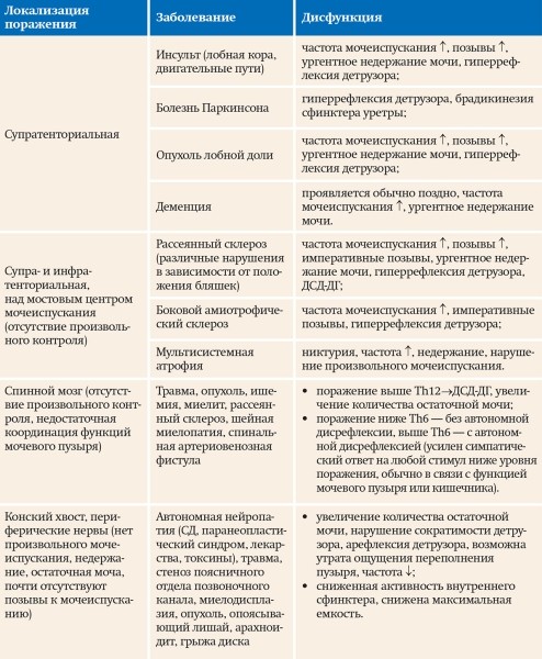 Нейрогенный мочевой пузырь
Нейрогенный мочевой пузырь