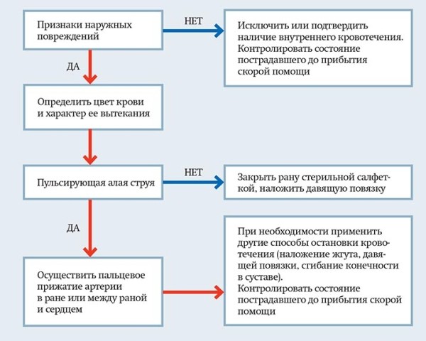 
			Первая помощь при острой кровопотере и травматическом шоке		