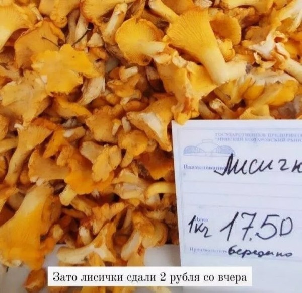 В четыре раза дороже: белорусские лисички появились в магазинах Германии