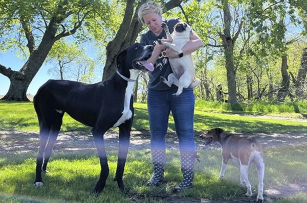 Умер самый крупный пес в мире. Он установил рекорд всего за несколько дней до смерти Умер самый крупный пес в мире. Он установил рекорд всего за несколько дней до смерти