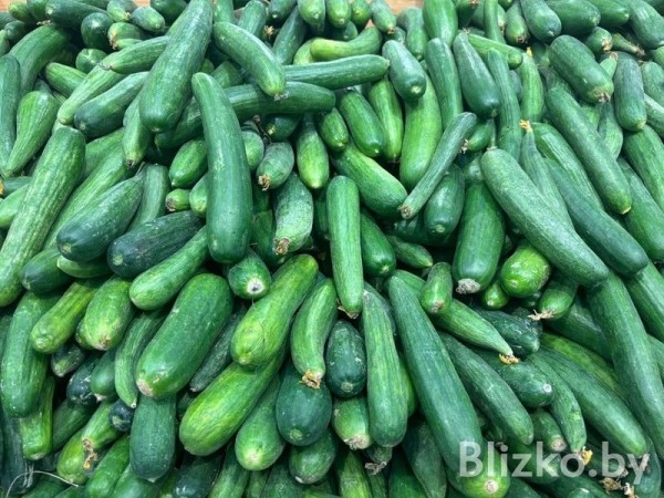 Сравнили цены на продукты в магазинах Беларуси и Израиля. И вот что получилось