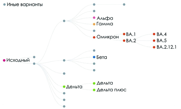 
			Волны COVID-19 станут  более предсказуемыми?		